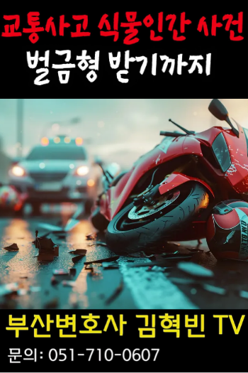 [부산변호사] 교통사고 식물인간 사건, 벌금형 받기까지